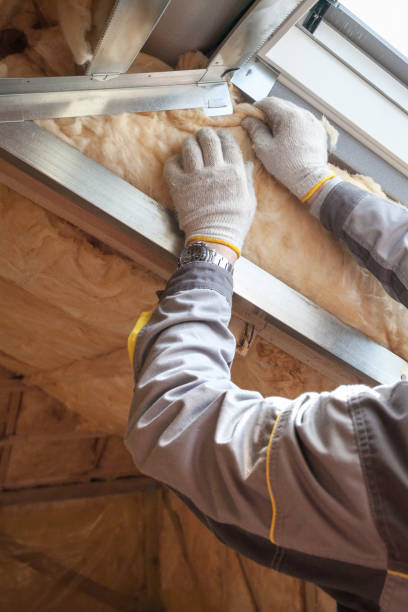 Best Commercial Insulation in Nashotah, WI